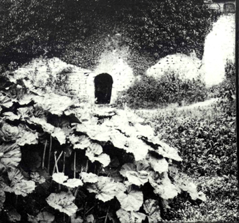 The Holy Well about 1900 [Z50/112/30]